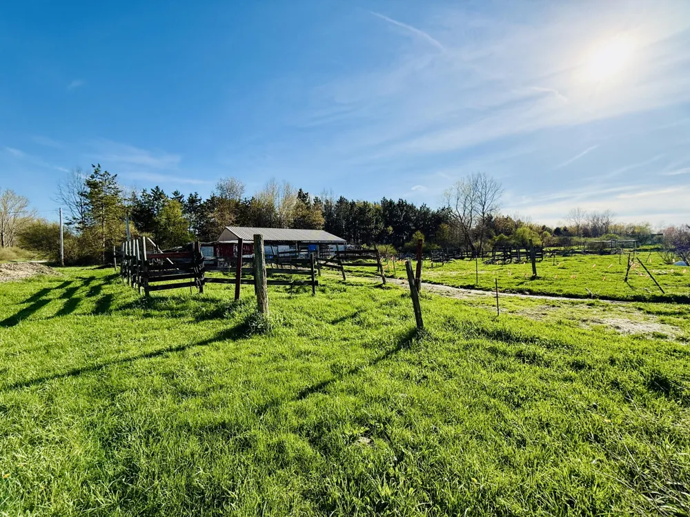 1525 S Poplar Road Custer Township, MI 49405
