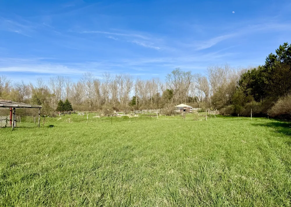 1525 S Poplar Road Custer Township, MI 49405