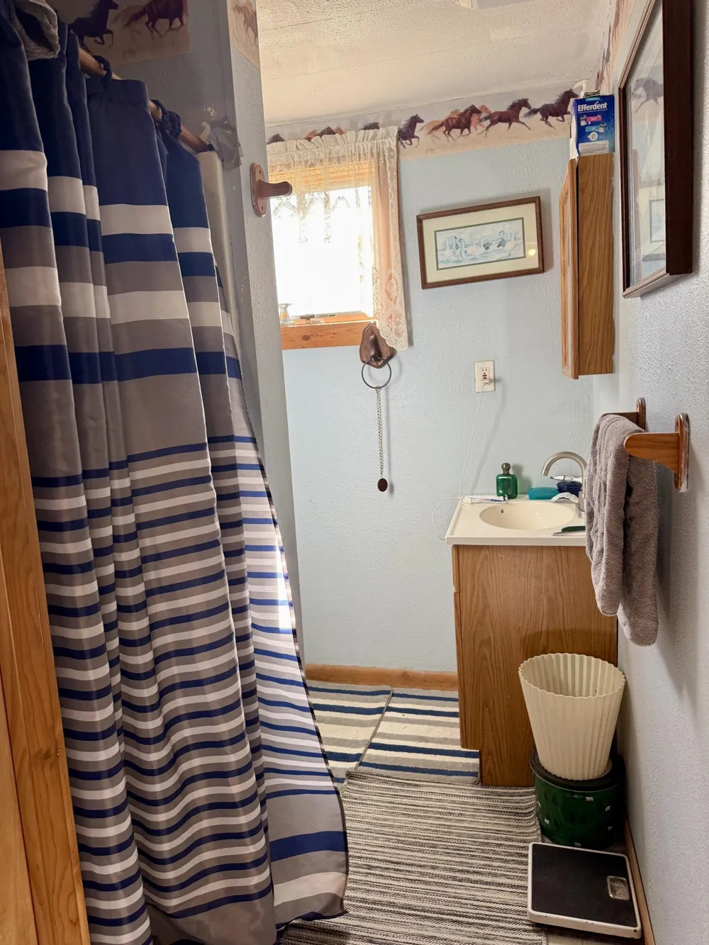 1525 S Poplar Road Custer Township, MI 49405