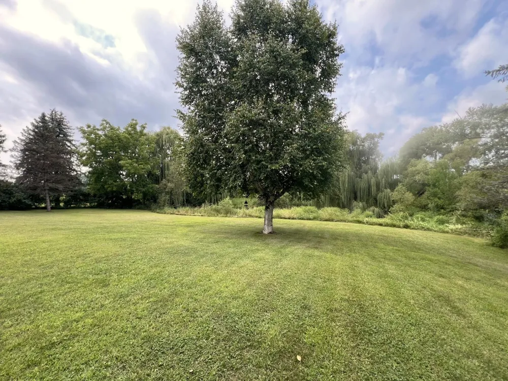 2398 122nd Avenue NE Spicer, MN 56288