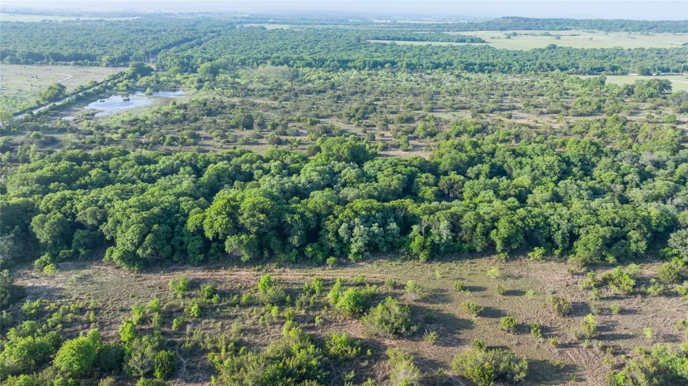 C.r 241 Clyde, TX 79510