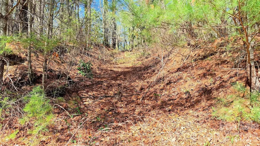 000 Jeter Mountain Road Hendersonville, NC 28739
