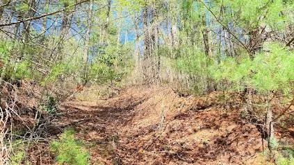 000 Jeter Mountain Road Hendersonville, NC 28739