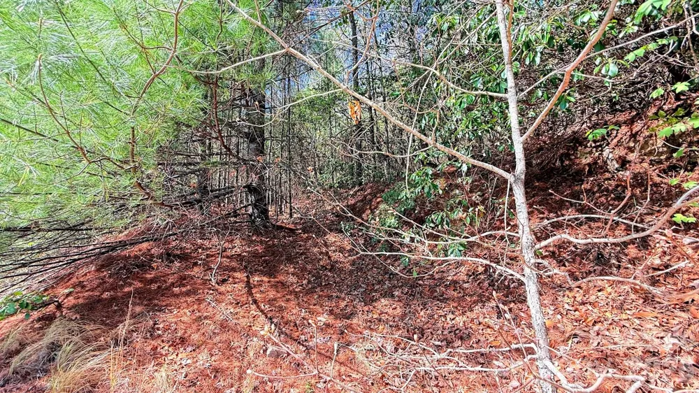000 Jeter Mountain Road Hendersonville, NC 28739