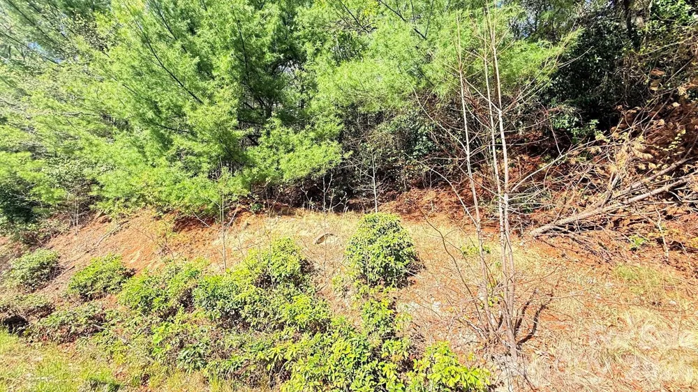 000 Jeter Mountain Road Hendersonville, NC 28739