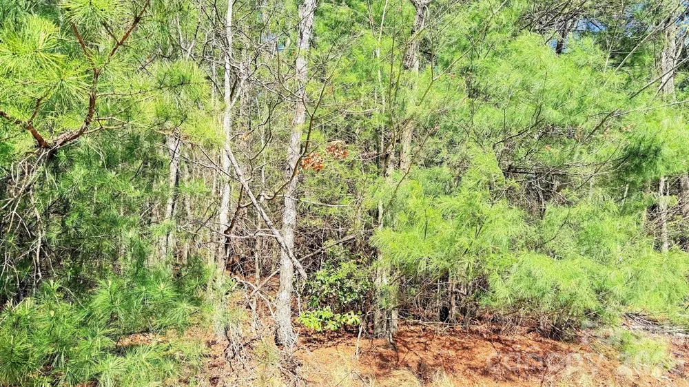000 Jeter Mountain Road Hendersonville, NC 28739