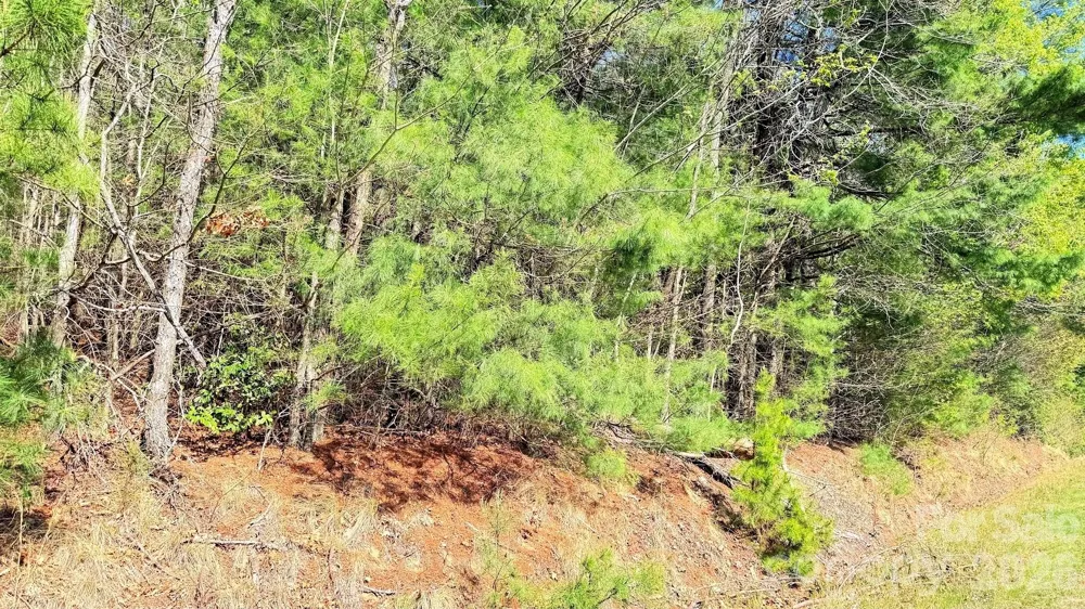 000 Jeter Mountain Road Hendersonville, NC 28739