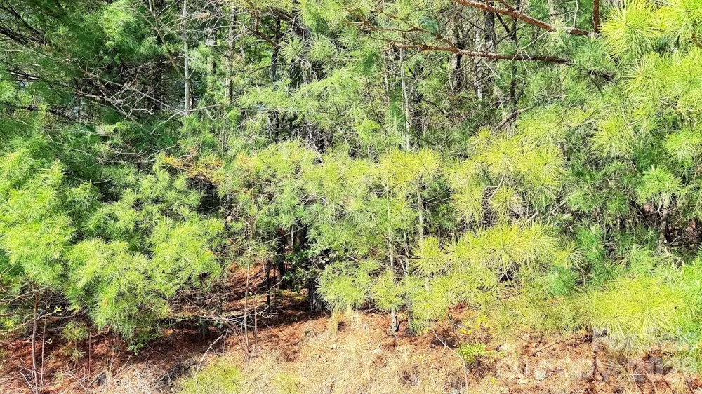 000 Jeter Mountain Road Hendersonville, NC 28739
