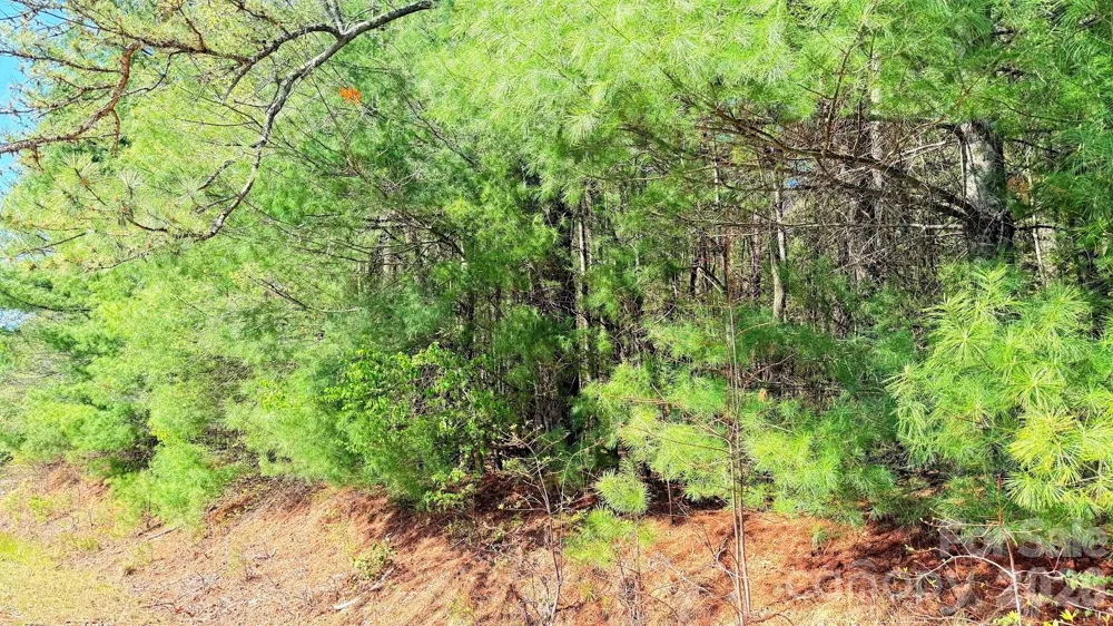 000 Jeter Mountain Road Hendersonville, NC 28739