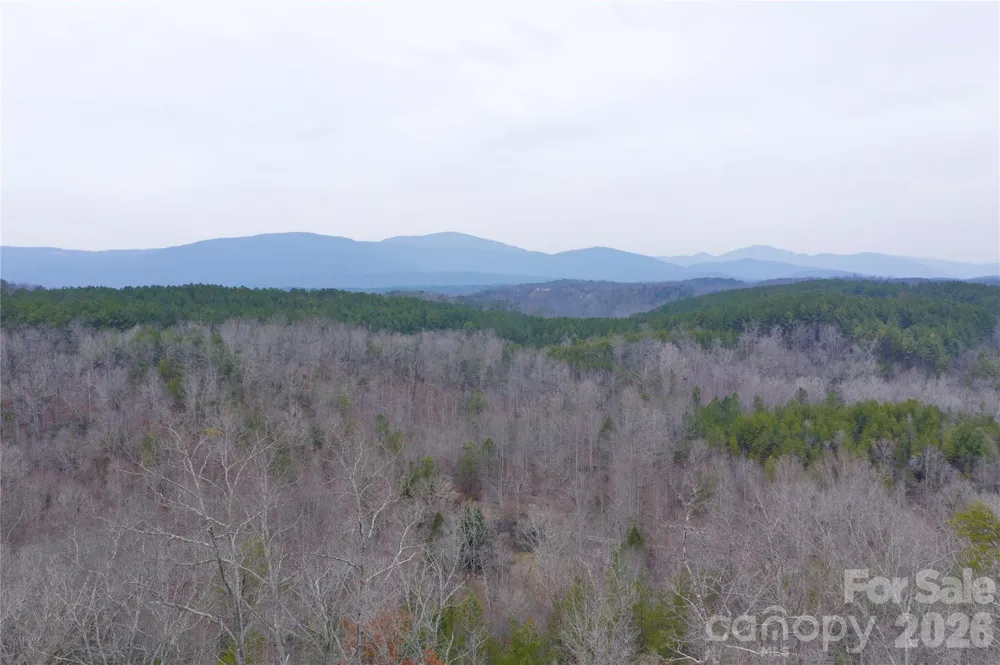 1140 Hwy 9 Highway Mill Spring, NC 28756