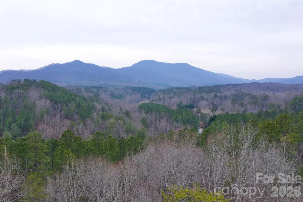 1140 Hwy 9 Highway Mill Spring, NC 28756