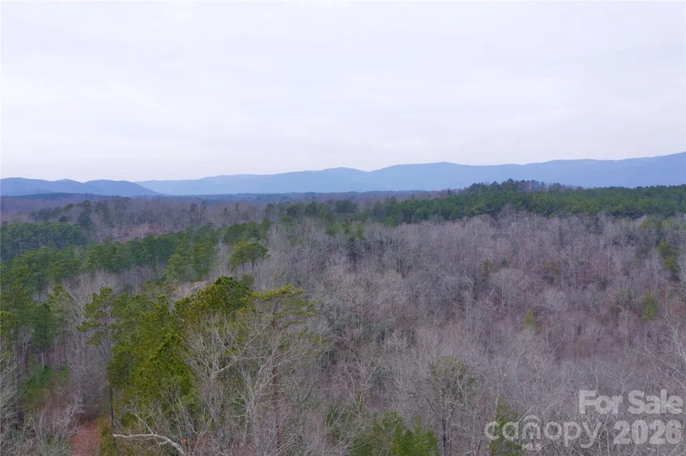 1140 Hwy 9 Highway Mill Spring, NC 28756