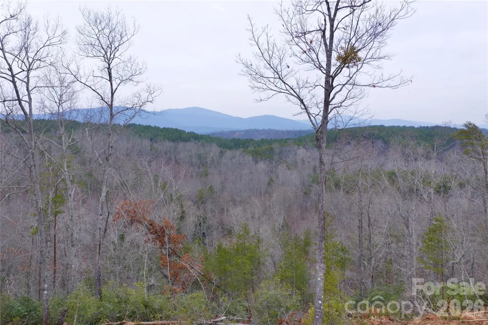 1140 Hwy 9 Highway Mill Spring, NC 28756