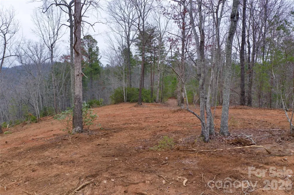 1140 Hwy 9 Highway Mill Spring, NC 28756