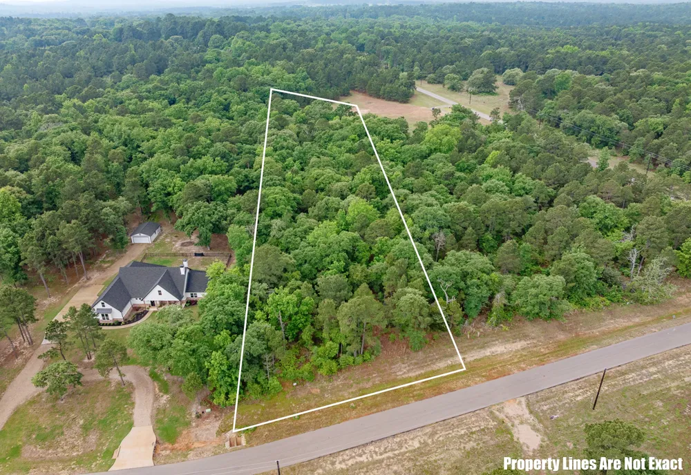 3121 Shadow Pines Larue, TX 75770