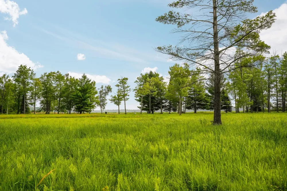7385 Gabrielle Drive Richfield Township, MI 48656