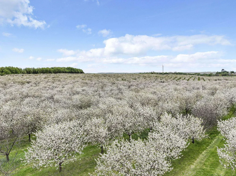 7710 US-31 N Acme Township, MI 49690