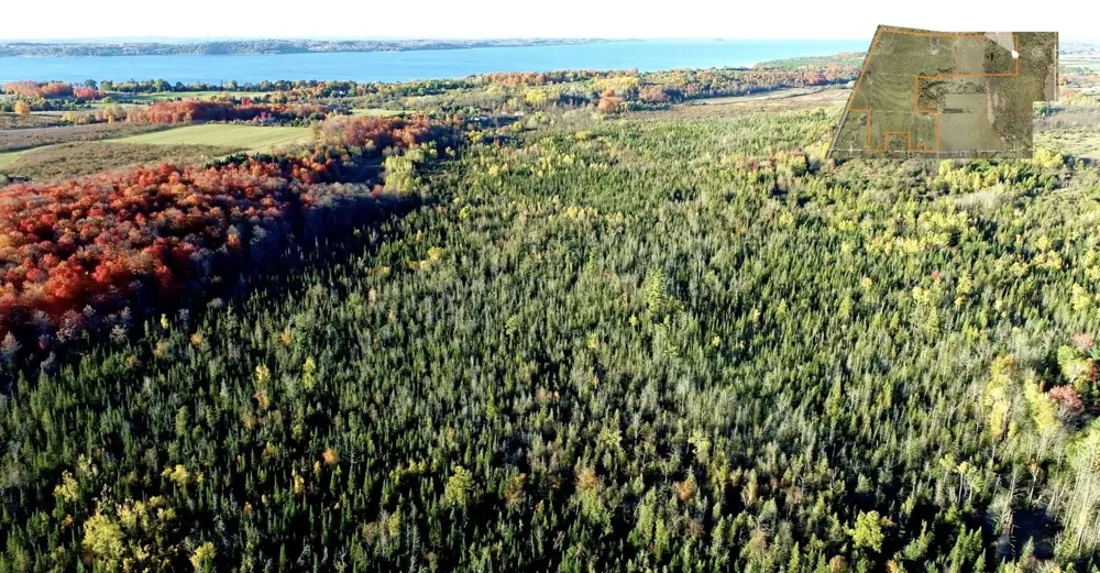 7710 US-31 N Acme Township, MI 49690