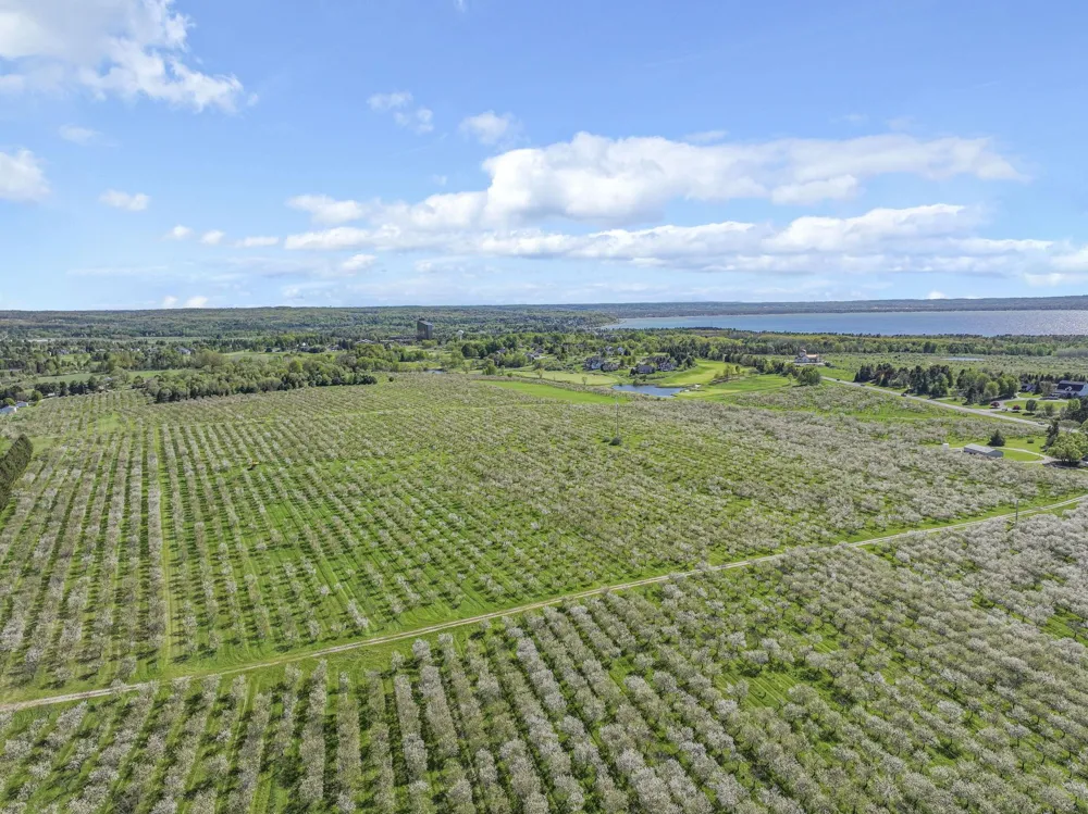 7710 US-31 N Acme Township, MI 49690