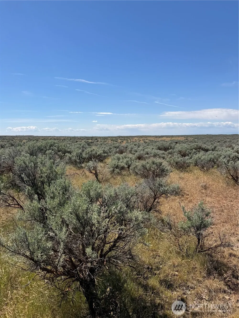 0 Lot 222 Eagle Springs Ranch Wilson Creek, WA 98860