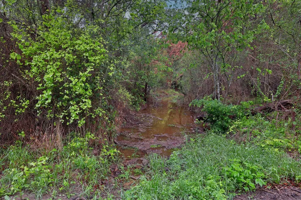 986 Shiloh Road Bastrop, TX 78602
