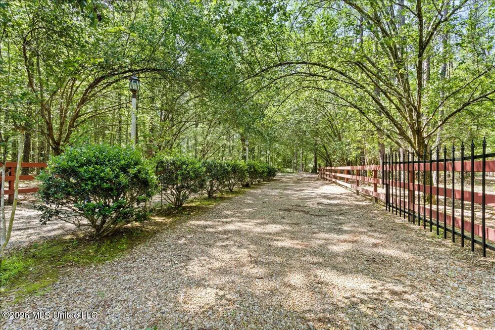 121 Cemetery Road Tylertown, MS 39667