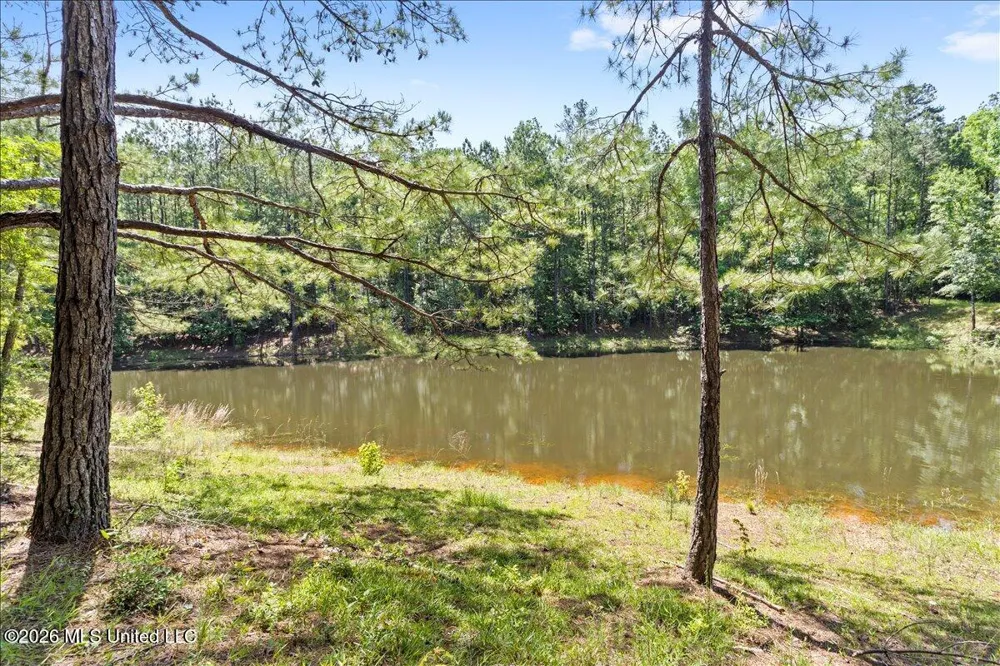 121 Cemetery Road Tylertown, MS 39667