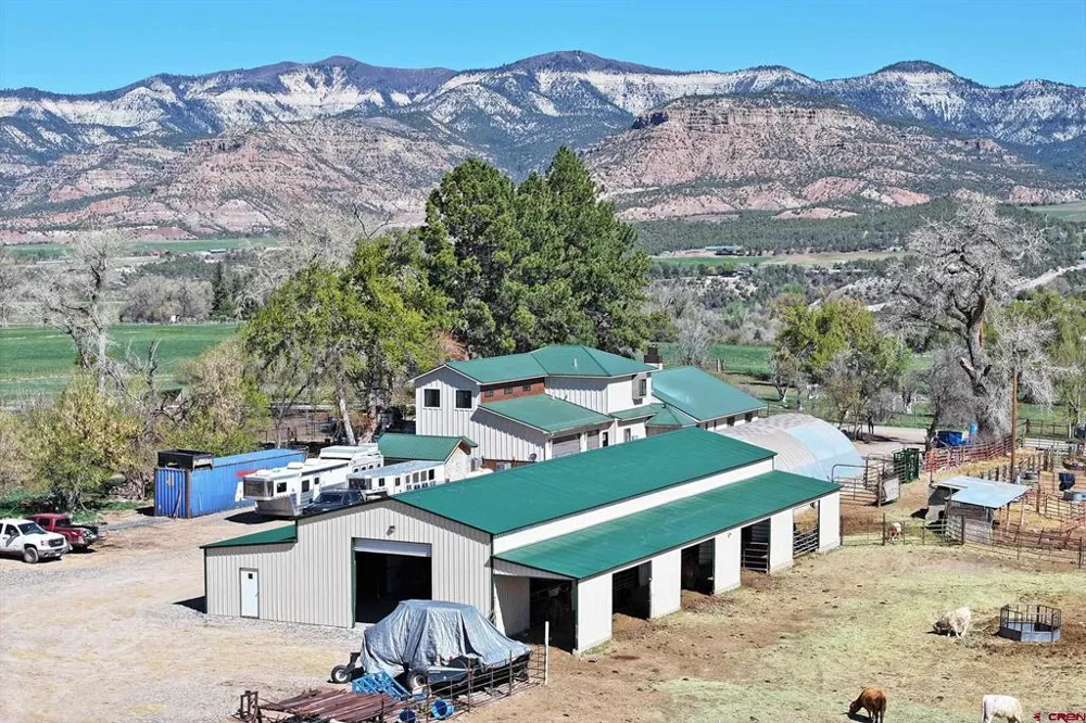 58749 OE ROAD Collbran, CO 81624
