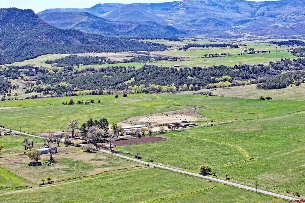58749 OE ROAD Collbran, CO 81624