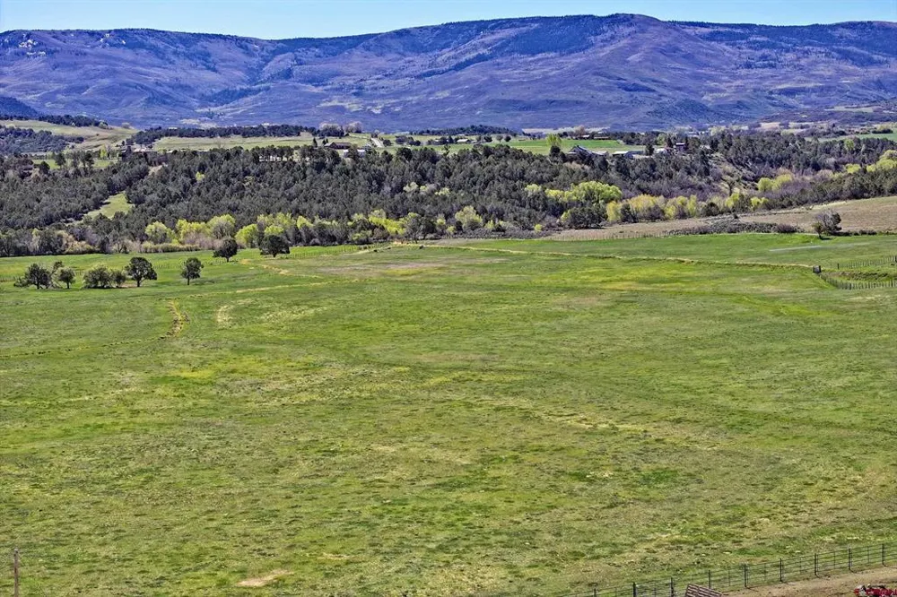 58749 OE ROAD Collbran, CO 81624