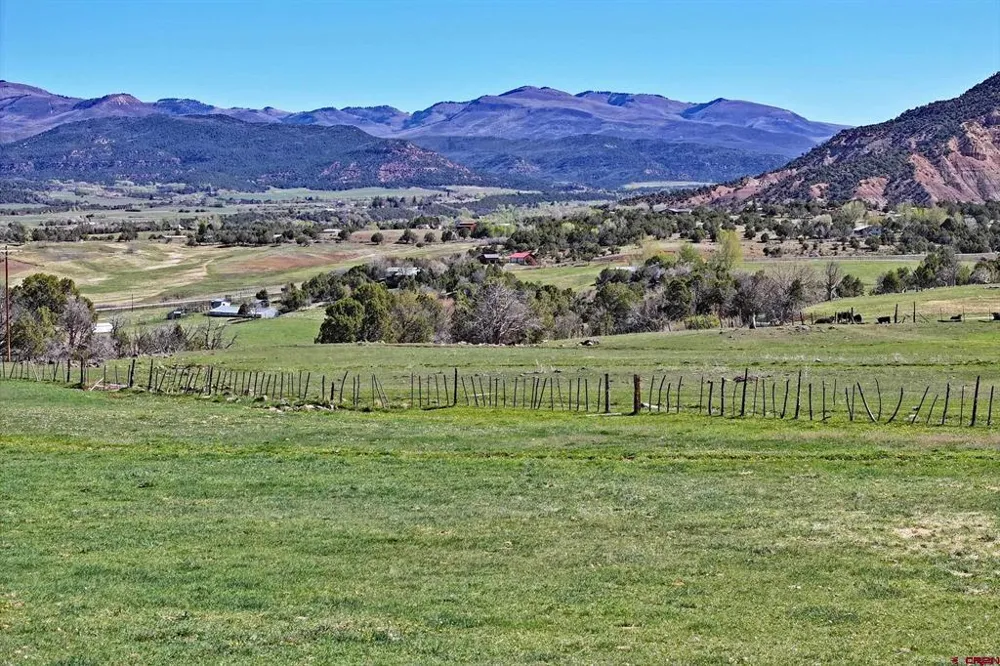 58749 OE ROAD Collbran, CO 81624