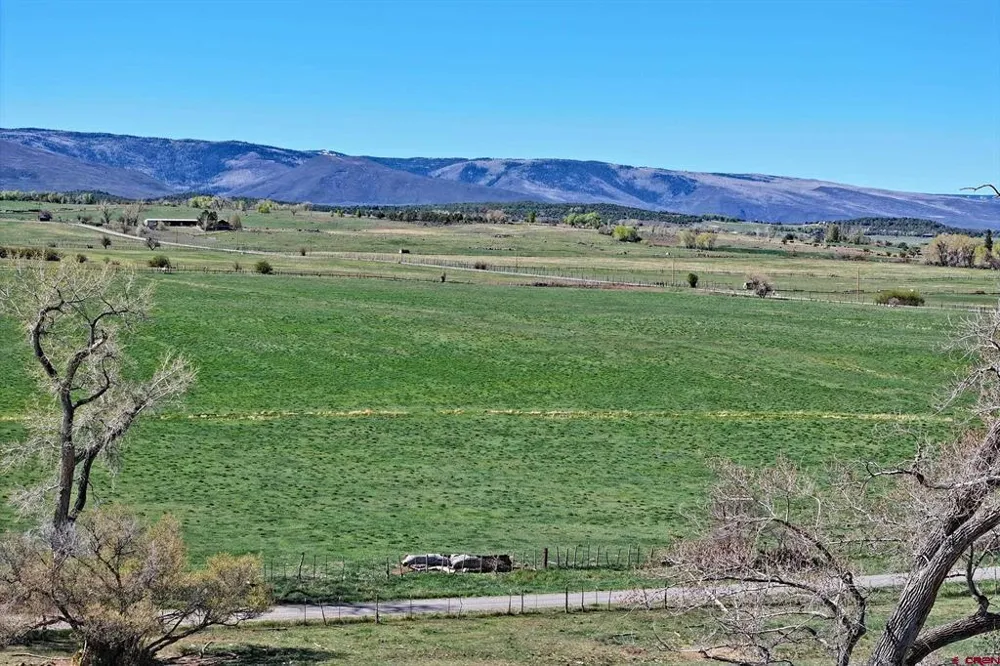 58749 OE ROAD Collbran, CO 81624
