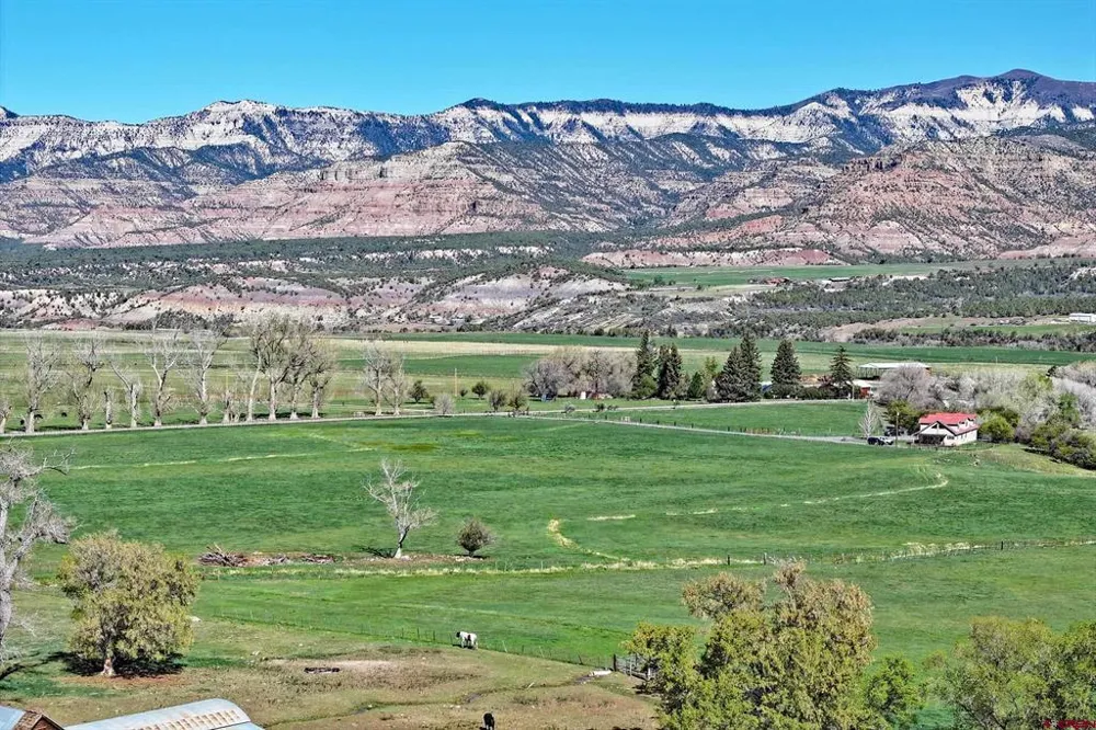 58749 OE ROAD Collbran, CO 81624