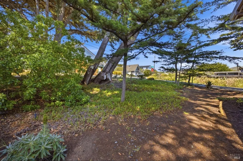2035 Sandpiper Court Bodega Bay, CA 94923