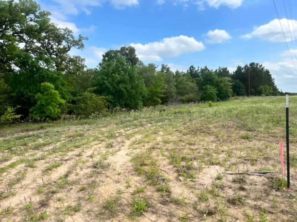 Ponderosa Loop Paige, TX 78602