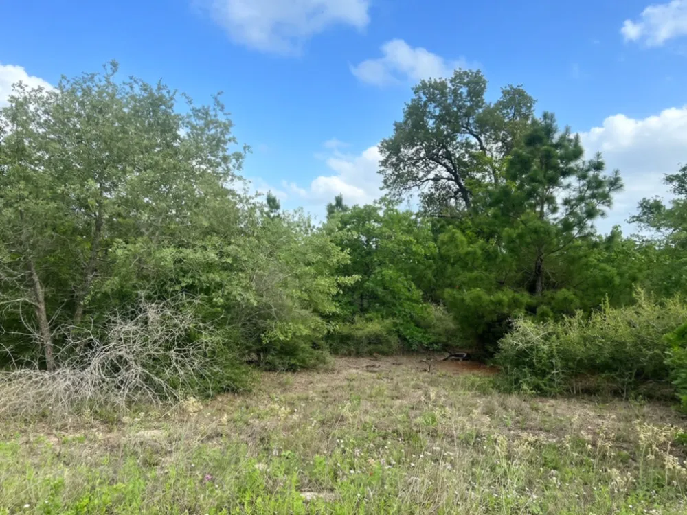 Ponderosa Loop Paige, TX 78602