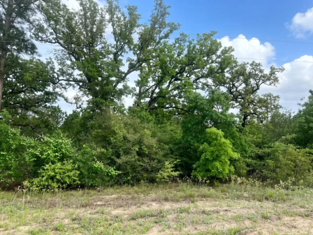 Ponderosa Loop Paige, TX 78602