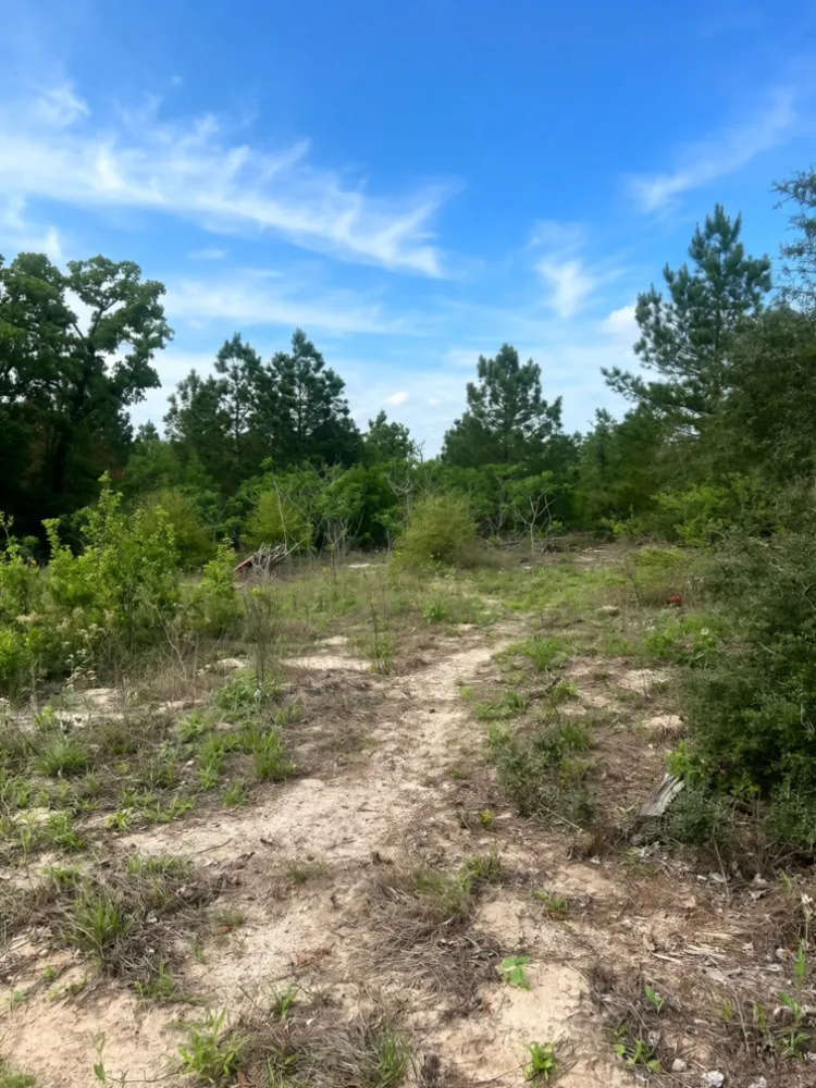 Ponderosa Loop Paige, TX 78602