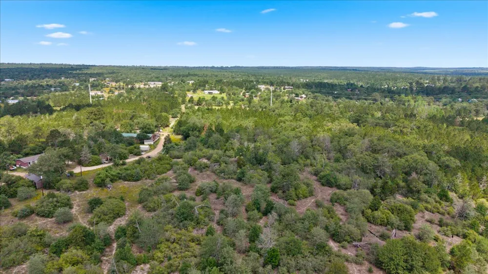 Ponderosa Loop Paige, TX 78602