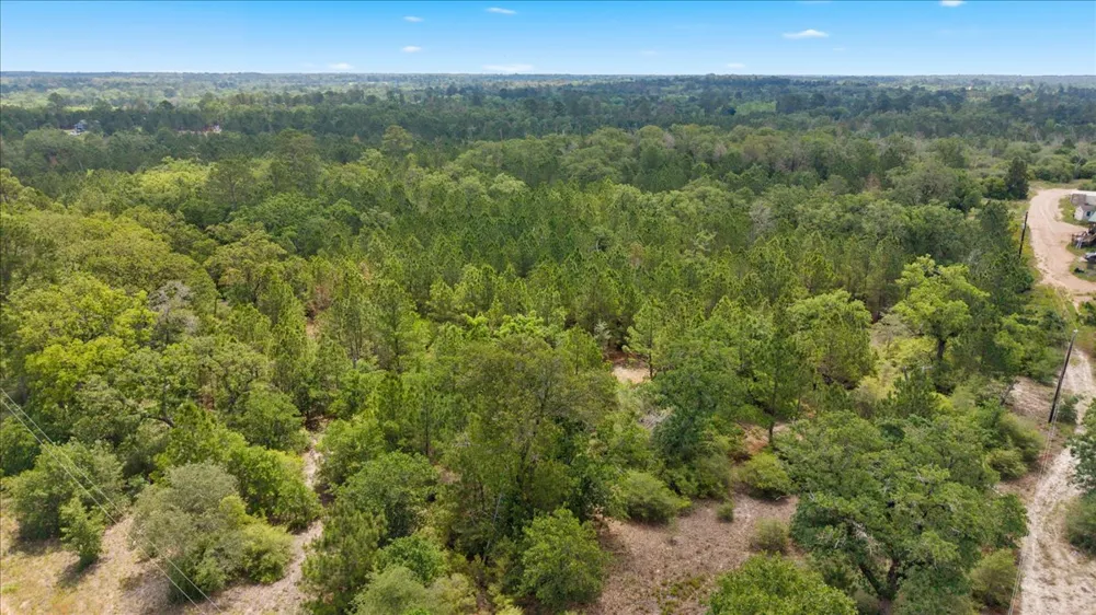 Ponderosa Loop Paige, TX 78602