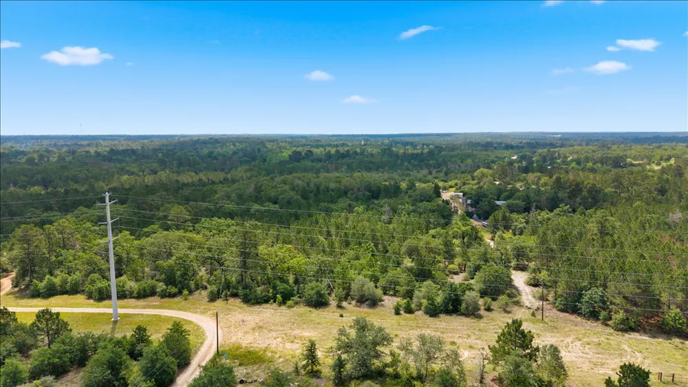 Ponderosa Loop Paige, TX 78602