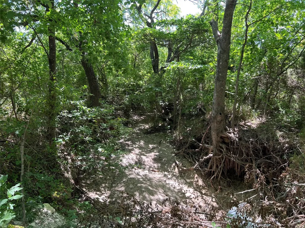 Bethel Cannon & Pilot Grove Road Whitewright, TX 75491