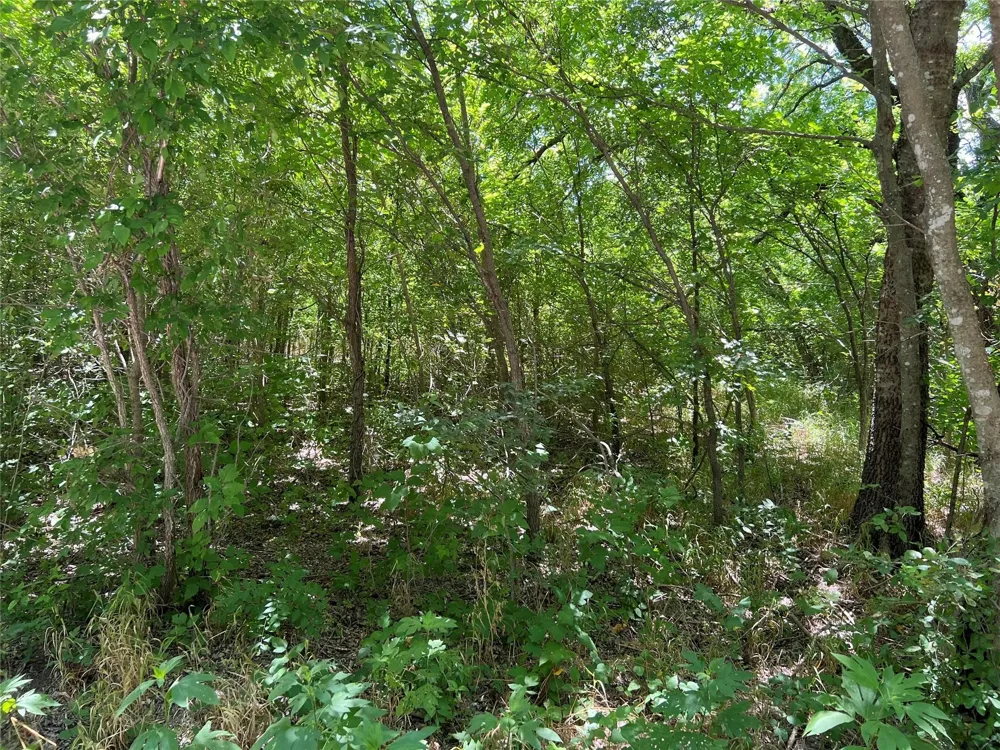 Bethel Cannon & Pilot Grove Road Whitewright, TX 75491