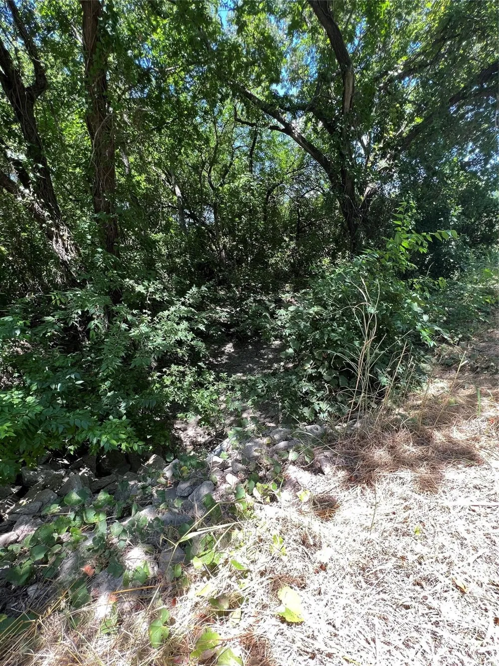 Bethel Cannon & Pilot Grove Road Whitewright, TX 75491