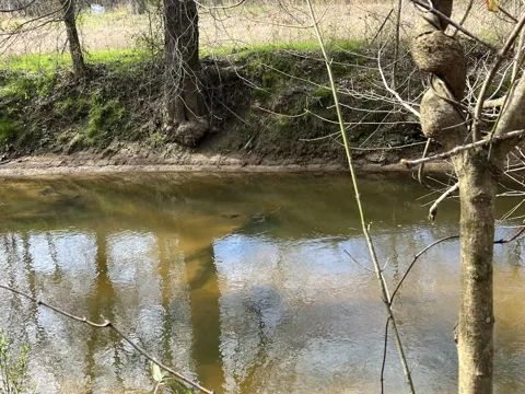 1480 Co Rd 814
