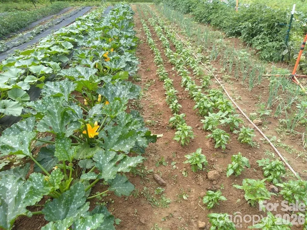 3151 Lumptown Road Marshall, NC 28753