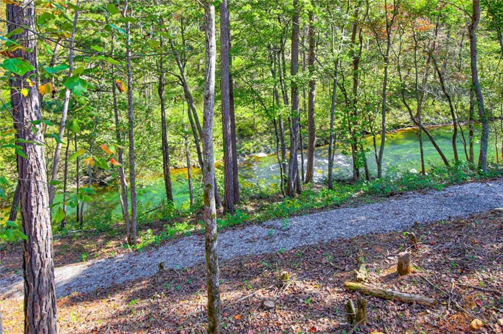 380 Biguns Boulevard Talking Rock, GA 30175