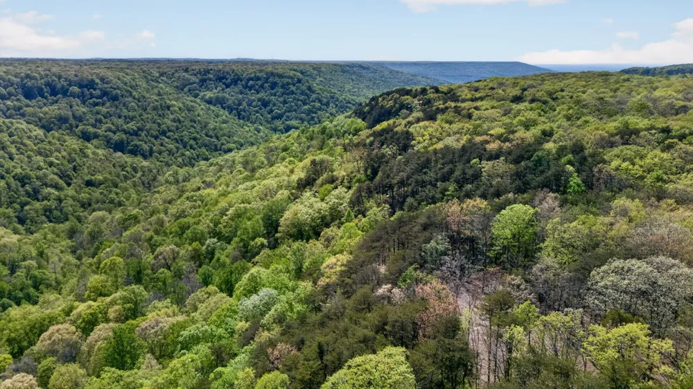 2076 Timberwood Trace Monteagle, TN 37356