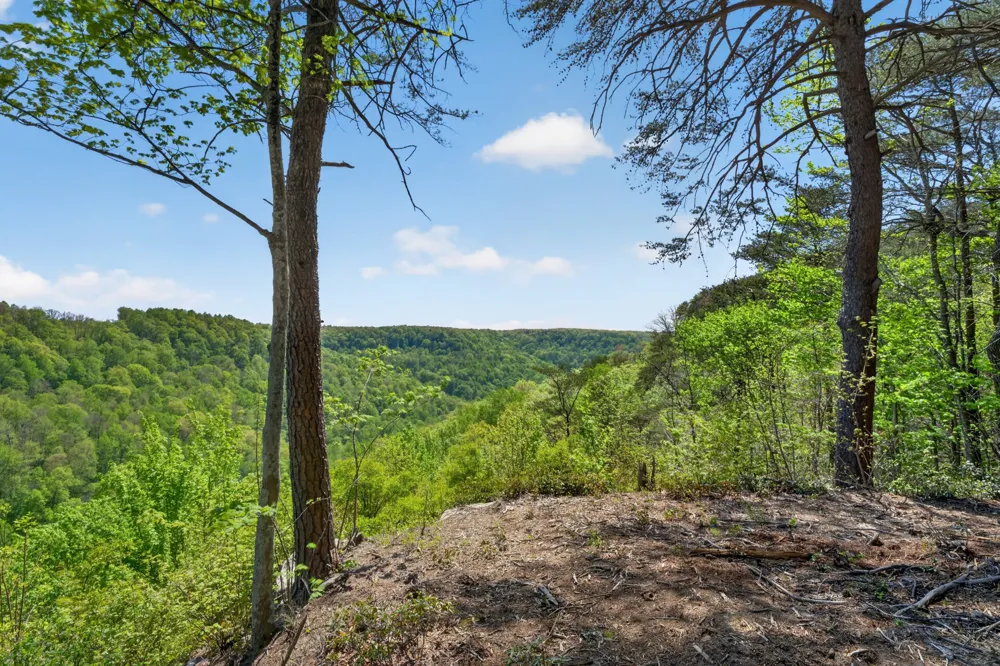 2076 Timberwood Trace Monteagle, TN 37356