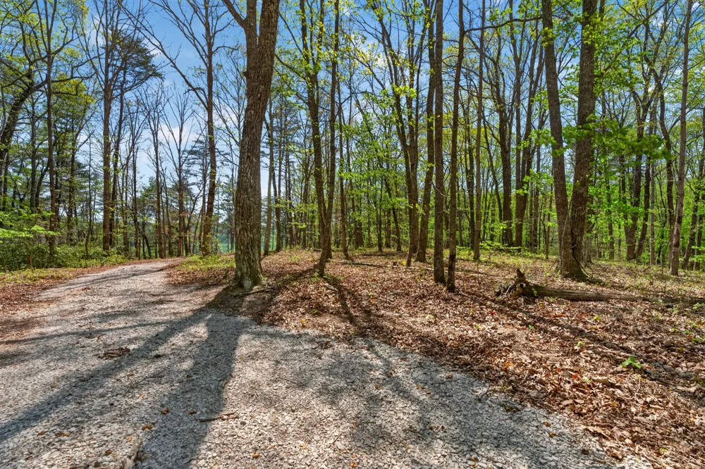 2076 Timberwood Trace Monteagle, TN 37356
